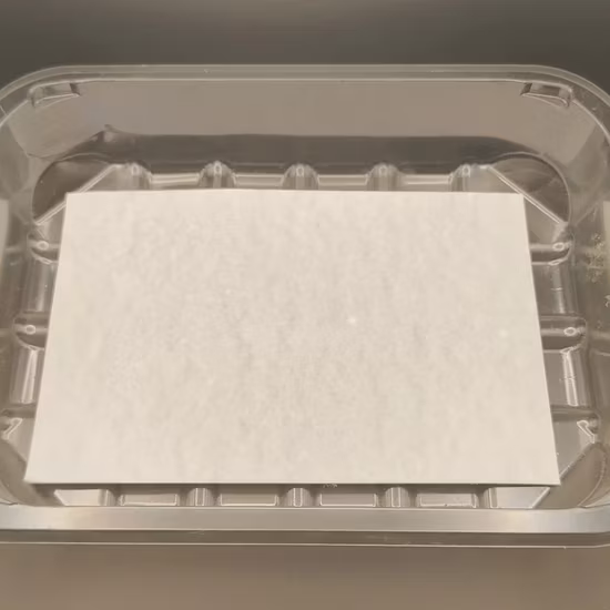 Tampon absorbant jetable de fruits de mer de viande de viande